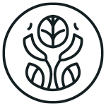 Olizen
